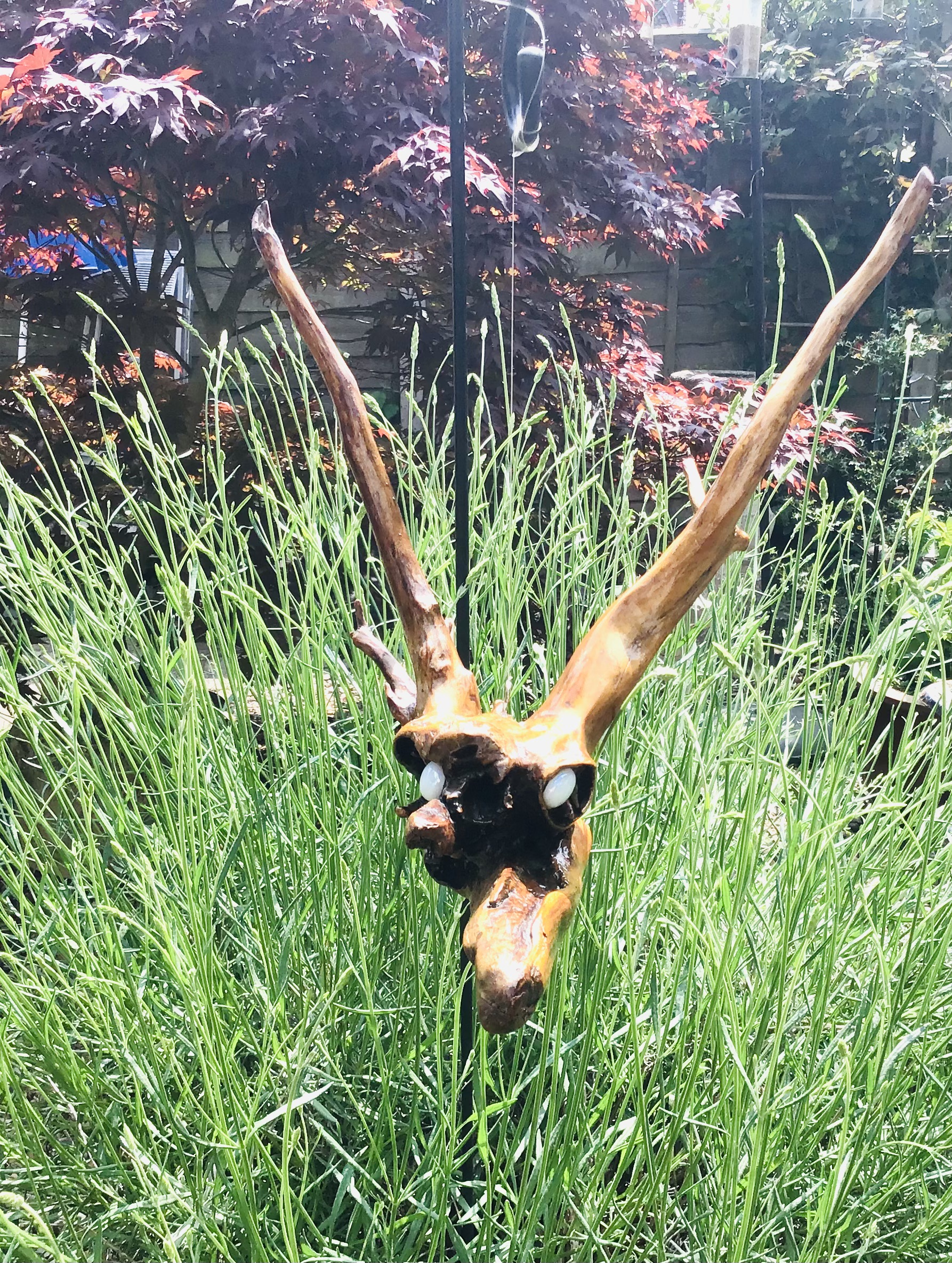 Eyes In the Sky - Image 1