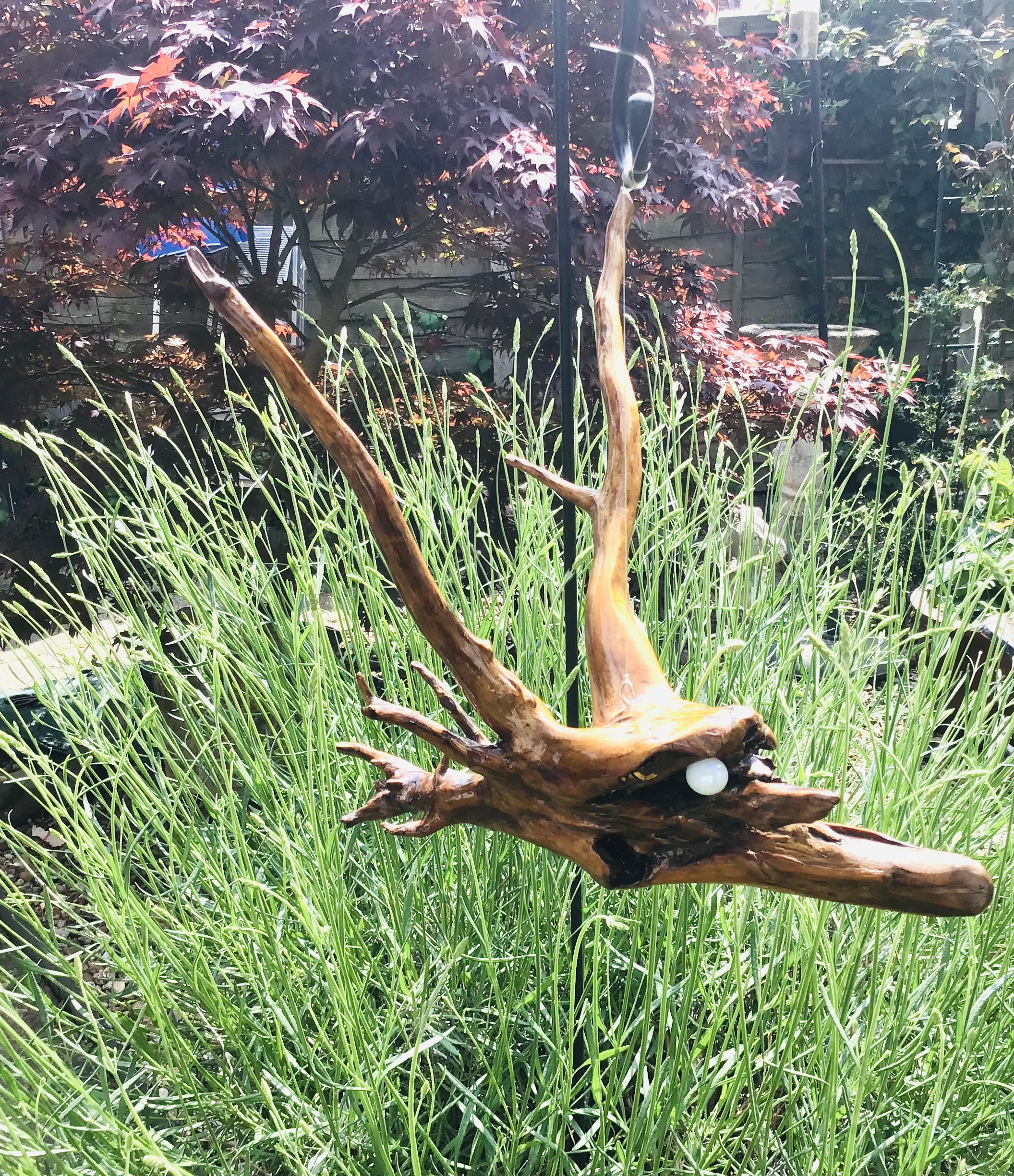 Eyes In the Sky - Image 2