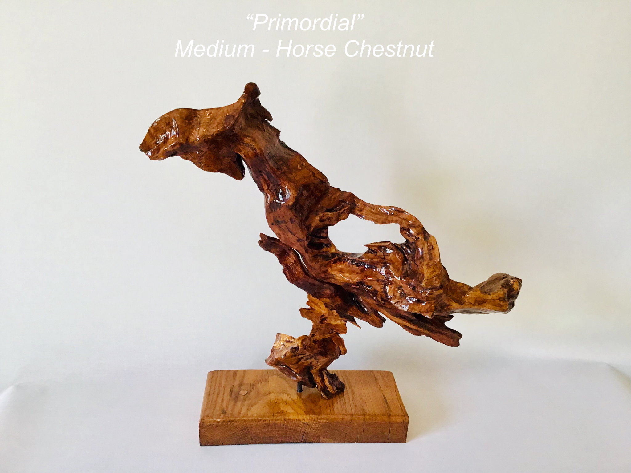 Primordial - Image 1